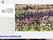 Tablet Screenshot of abryoungplants.com